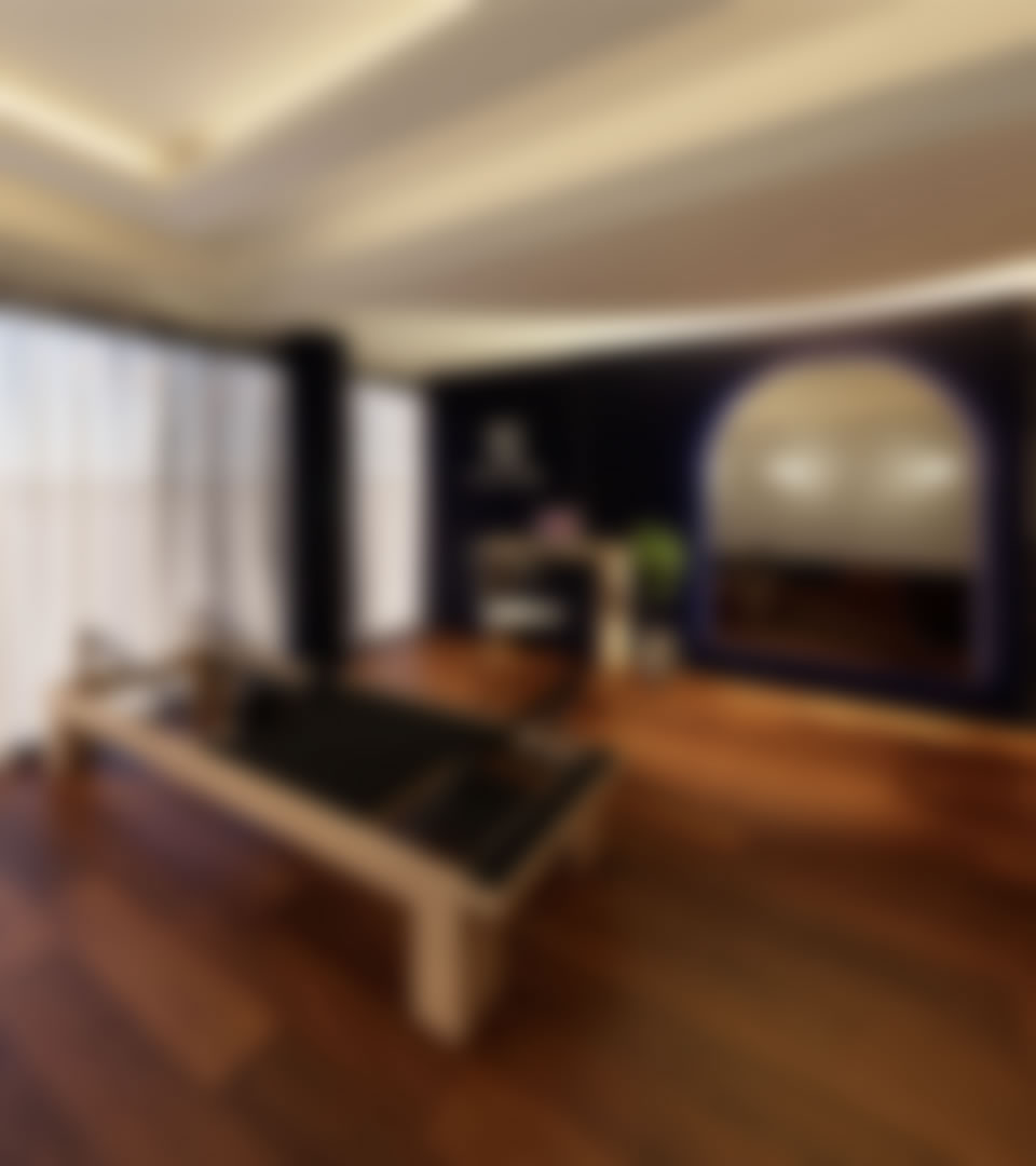 Proyecto Estudio Hara